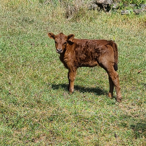 My Babies 😍❤ - Picture 8 of 13